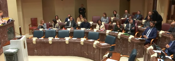 Visitación Martínez le quita la palabra a la diputada de VOX Visitación Martínez le quita la palabra a la diputada de VOX