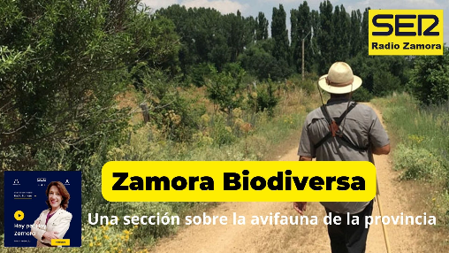 Hoy por Hoy Zamora – Zamora Biodiversa (12/12/2025) Hoy por Hoy Zamora – Zamora Biodiversa (12/12/2025)