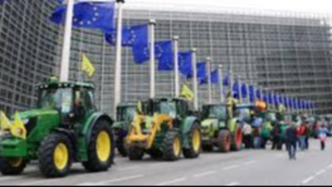 Eduardo Navarro, SER de campo Eduardo Navarro, SER de campo