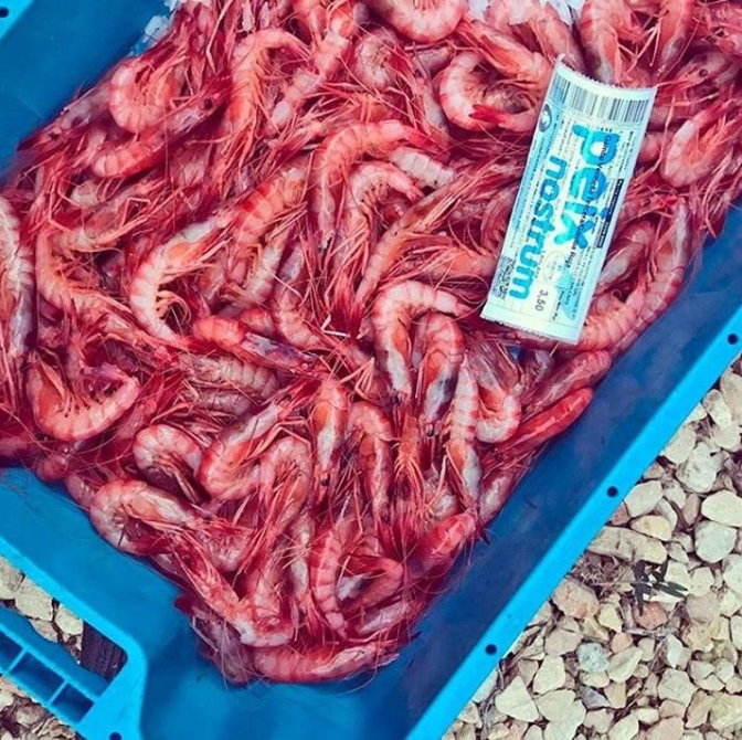 Gamba Roja garantizada en la mesa navideña, pero nada de angulas