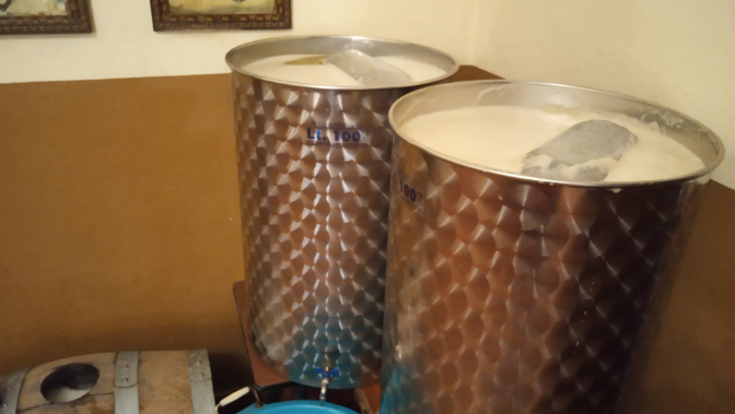 Imagen de Entre Vinos | Entre barricas y recuerdos: haciendo vino desde casa