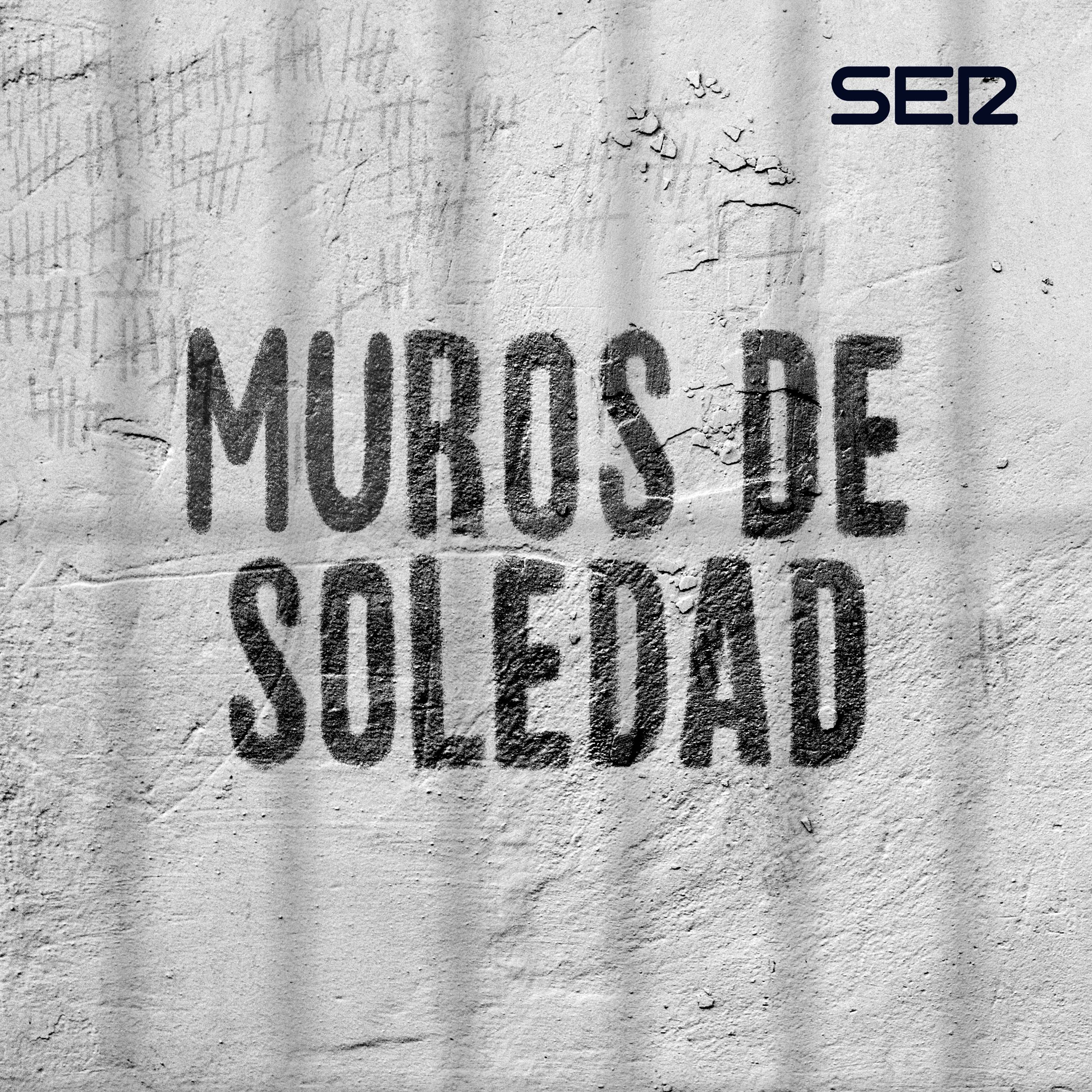Imagen de Muros de soledad