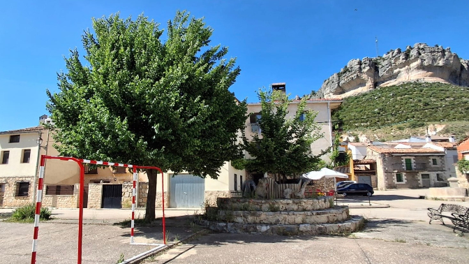Imagen de Vuelve la vida al tronco seco del olmo centenario de un pueblo de Cuenca