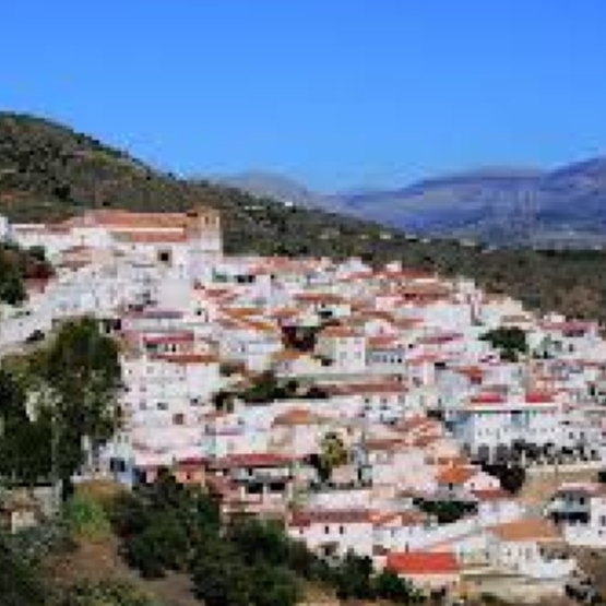 Imagen de 