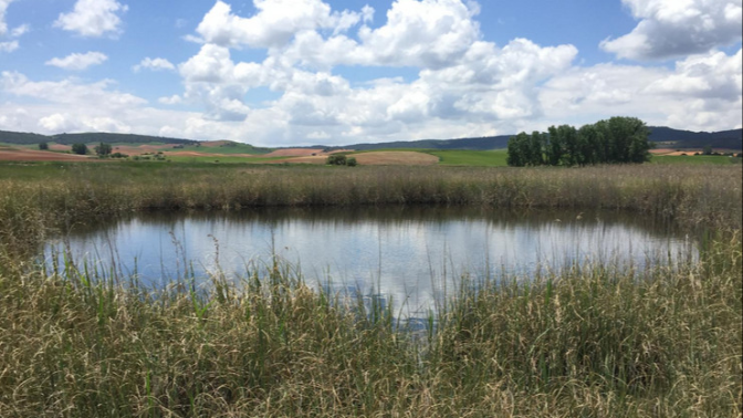 Imagen de Lagunas de Ballesteros: nueva joya ecológica de Cuenca con proyecto LIFE