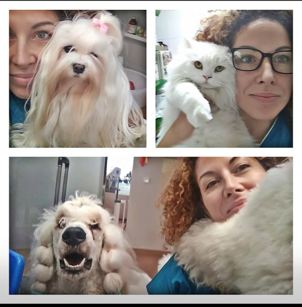 Imagen de Cardiopatías y calor: el riesgo invisible para nuestras mascotas en verano