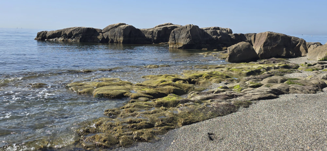 Imagen de Estado de las playas. Mar en calma hoy en Málaga: perfecto para mayores y personas con discapacidad