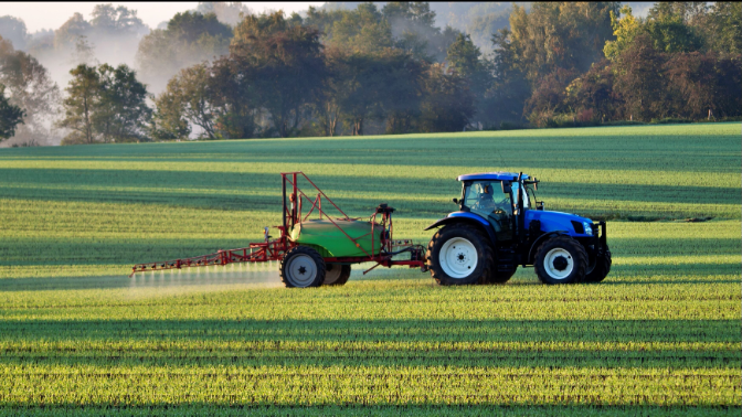Imagen de Ser de Campo con Javier Fatás