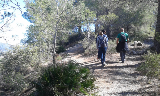 Imagen de El alcalde de Alfauir valora el proyecto 