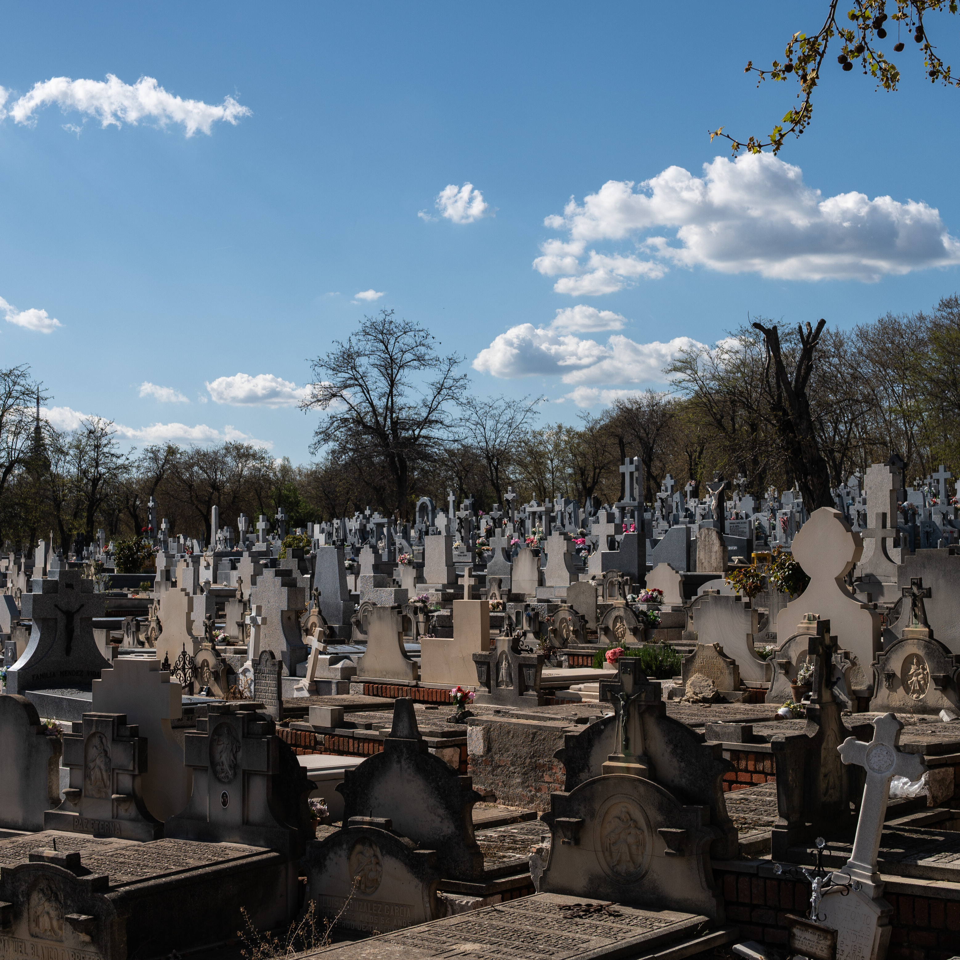 Imagen de El dato más escalofriante del cementerio de la Almudena, la mayor necrópolis de Europa: 