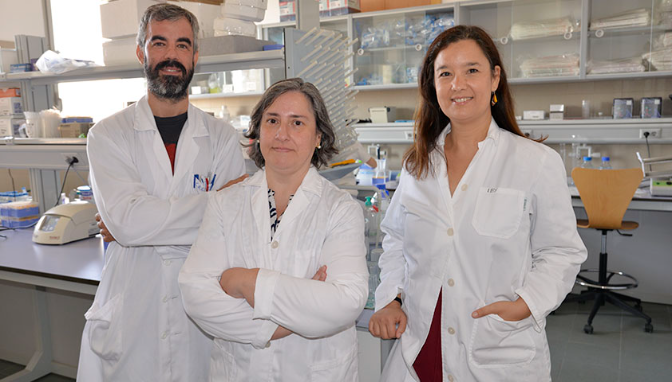 Imagen de Un estudio pionero de la UCLM muestra que la combinación de cocaína y alcohol produce un daño cerebral mayor que su consumo por separado