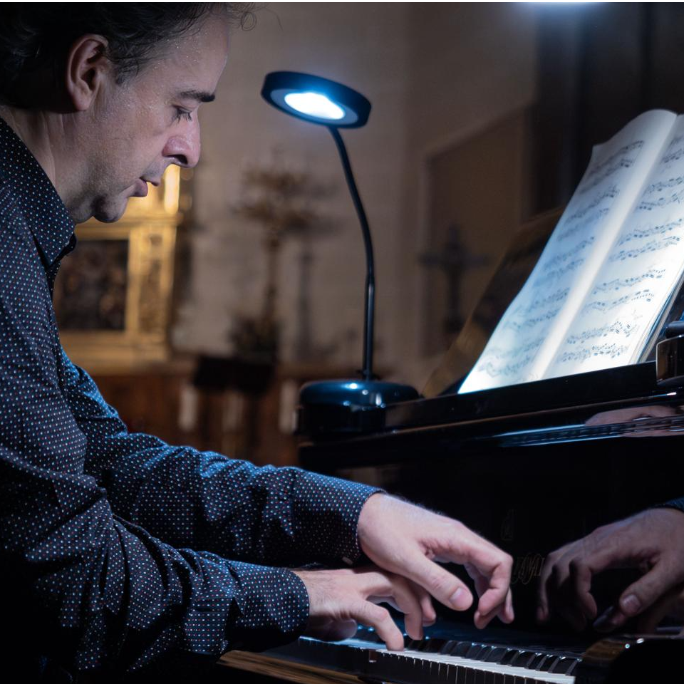 Imagen de 22º Festival Internacional de Música de Mendigorría