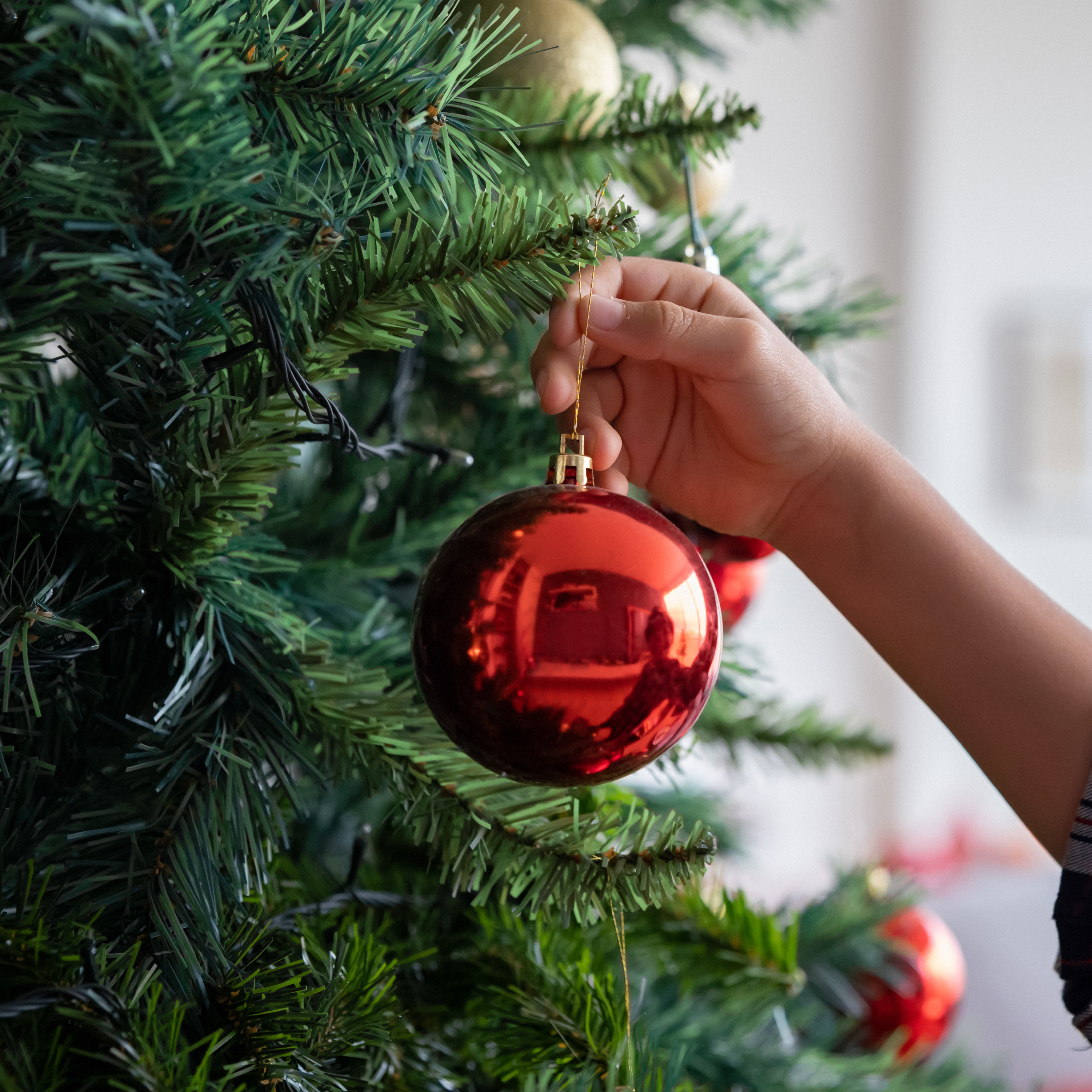 Imagen de La tienda en la que es Navidad todo el año