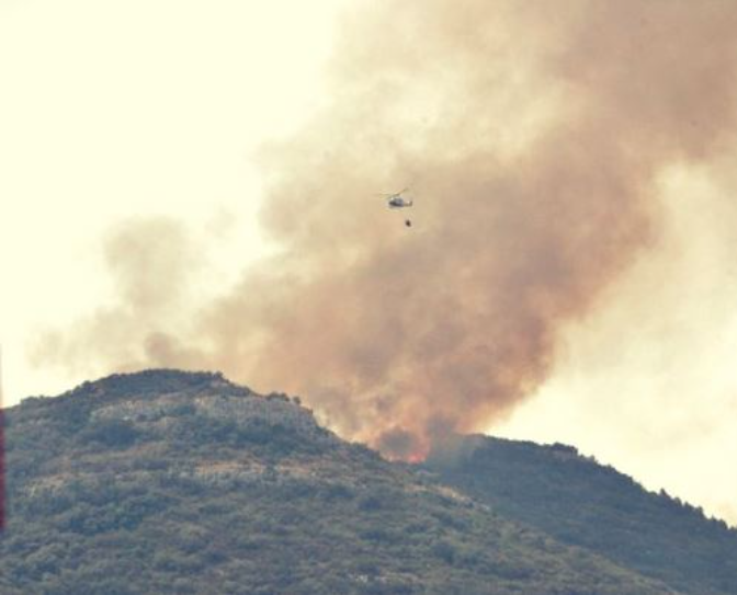 Imagen de Así ha sido la recuperación del terreno de Gandia afectado por el incendio de Llutxent hace 7 años