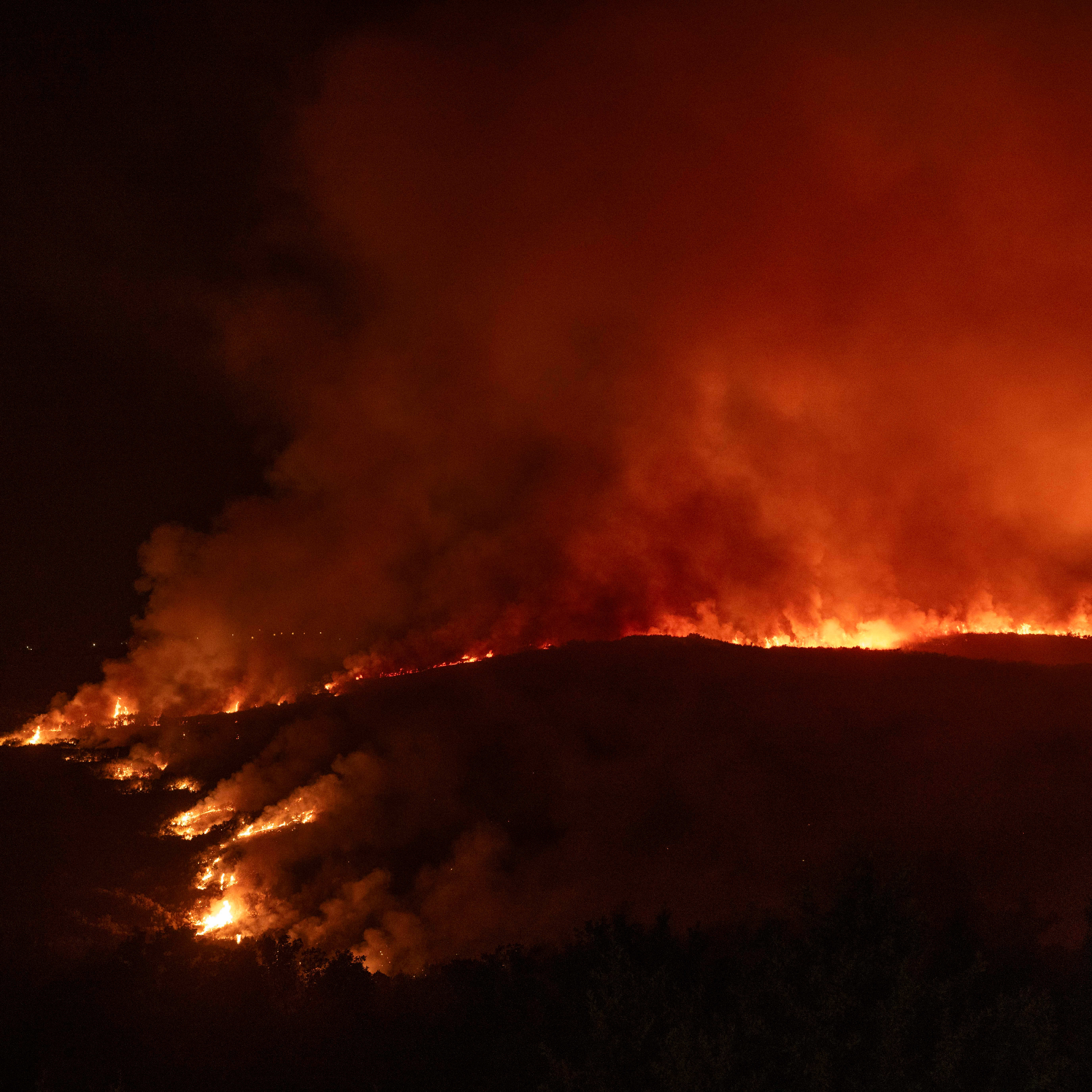 Imagen de Sara Aagesen: 