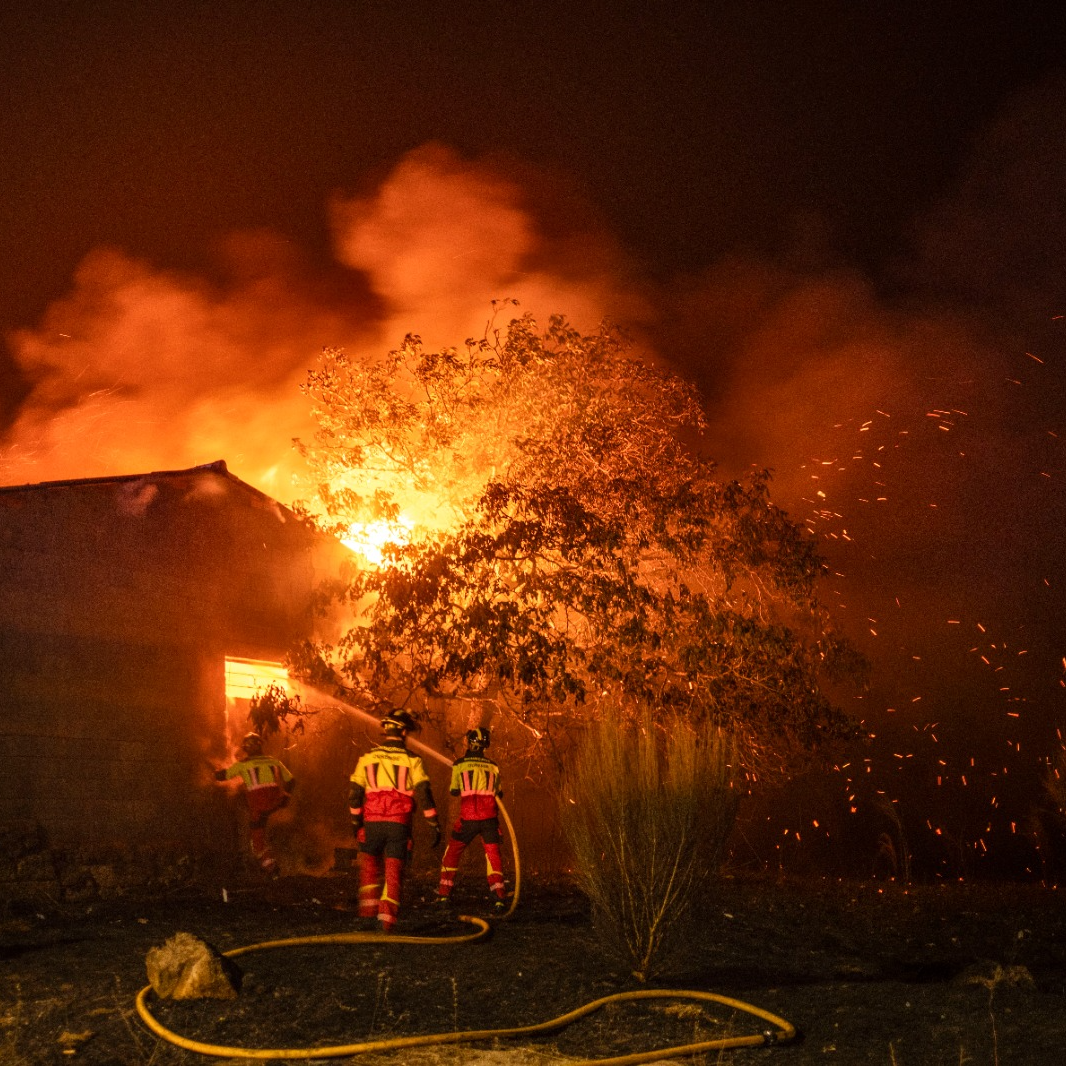 Imagen de Querer quedarse en casa en medio de un incendio: 