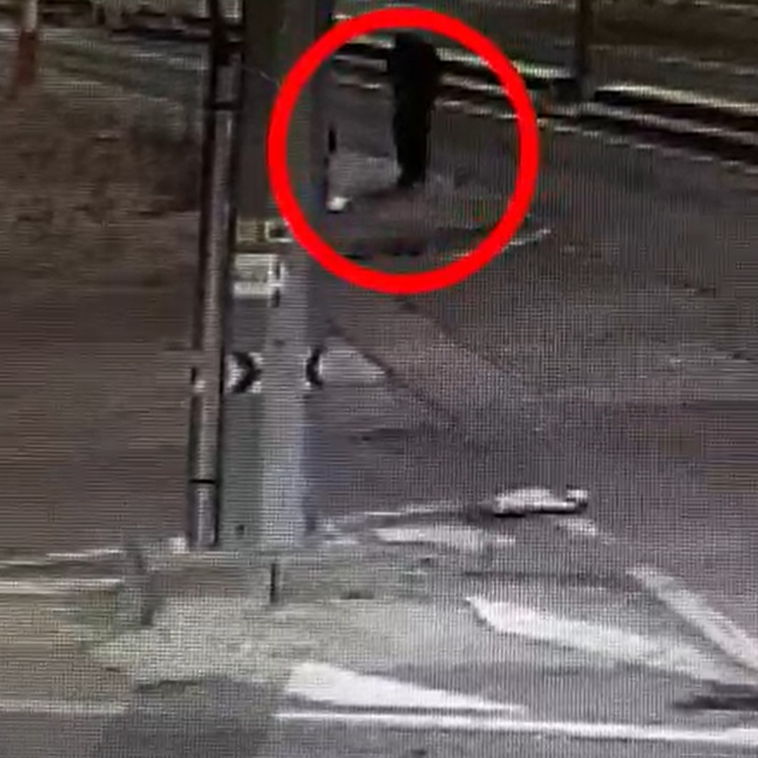 Imagen de Un portavoz de la Comandancia de Madrid de la Guardia Civil repasa la detención de un hombre que presuntamente provocó dos incendios en Humanes de Madrid y Moraleja de Enmedio