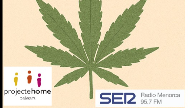 Imagen de Projecte Home. Capítulo 4. Cannabis, percepciones y realidades