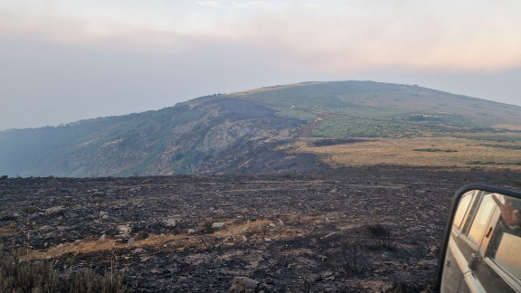 Imagen de Preocupación por los efectos del incendio de Porto en el agua del Lago de Sanabria