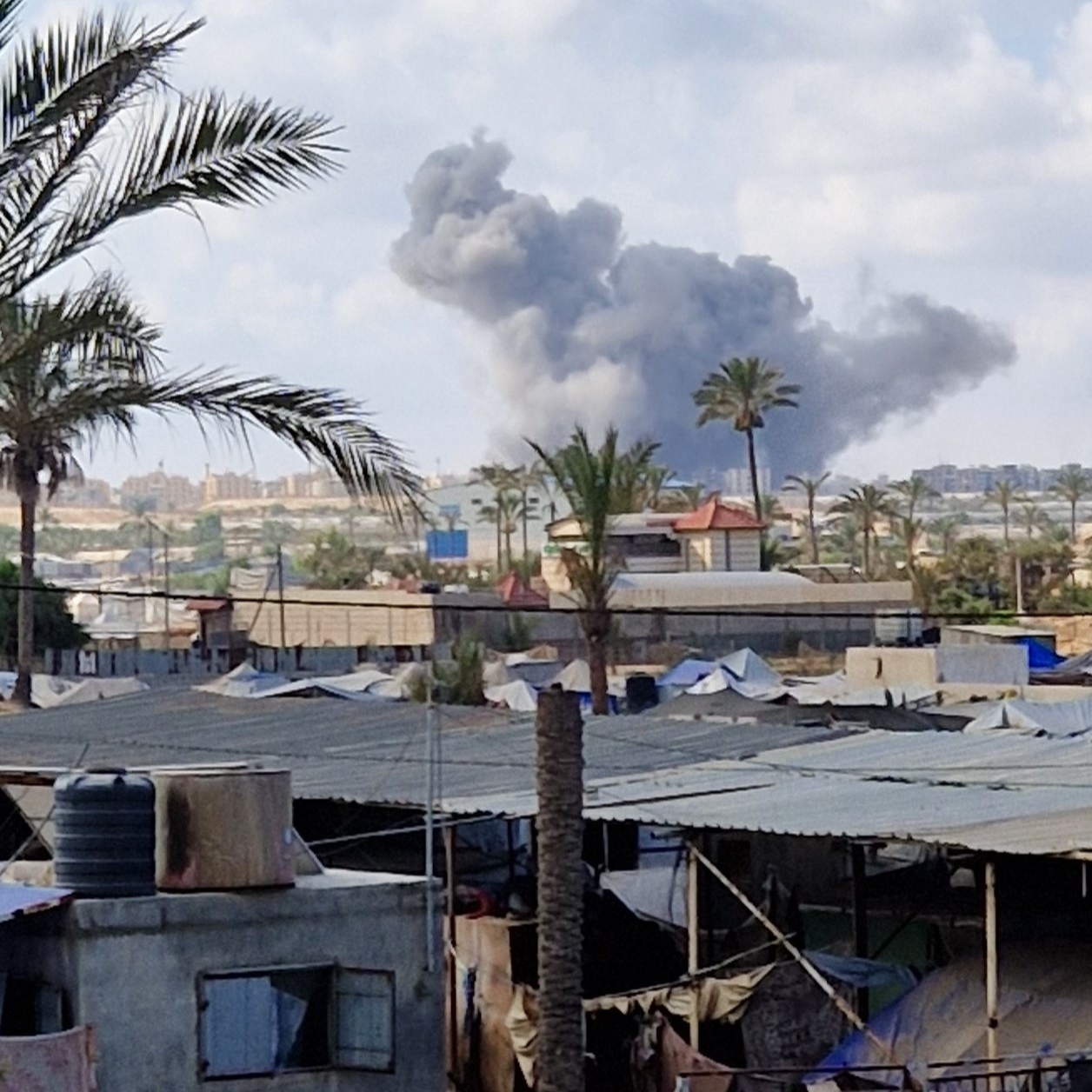 Imagen de Diccionario de una masacre | Realidad paralela