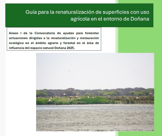 Imagen de Juanjo Carmona - renaturalización de Doñana