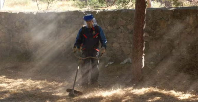 Imagen de 'Limpiar' el monte para evitar incendios: lo que dice la ley y lo que pasa en la práctica