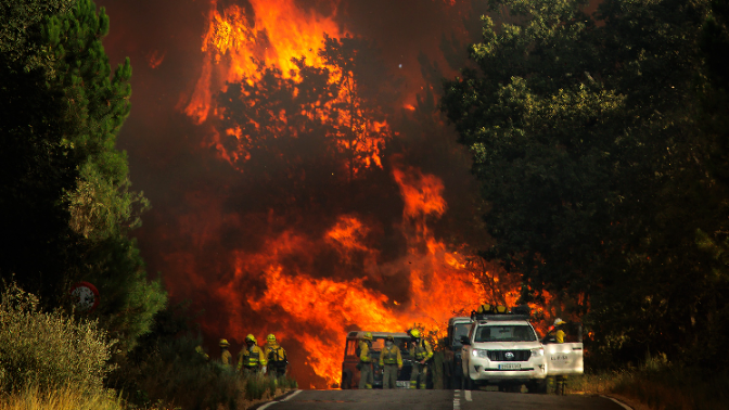 Imagen de Radiografía de la tierra quemada en agosto por los incendios