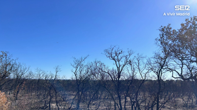 Reconstruir la normalidad en Tres Cantos: hogares, fauna y monte 26 días después del incendio