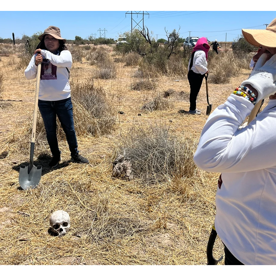 A vista de Lobo | Guerra contra el narcotráfico en México