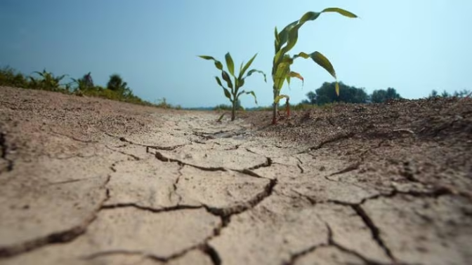 La planta desaladora modular de Sant Antoni entrará en funcionamiento a principios de octubre
