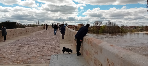Imagen de La Junta insta al Ayuntamiento de Zamora a subsanar las deficiencias en el pretil del Puente de Piedra
