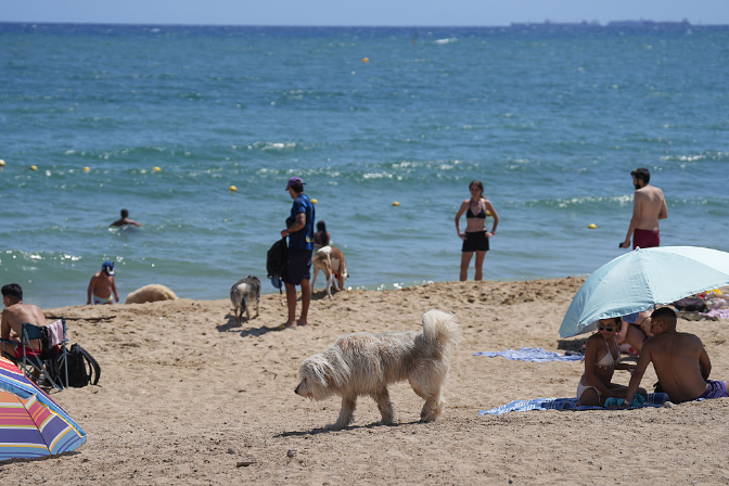 Playas caninas en A Coruña: Marta Gracia
