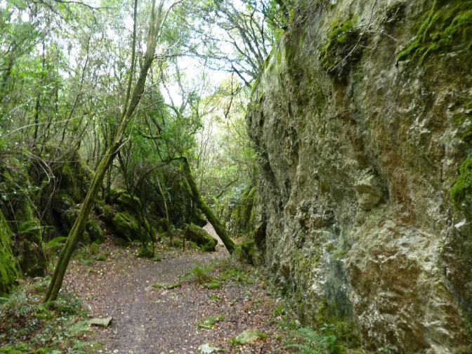 Imagen de ¿Por qué nos sientan tan bien las escapadas al campo?