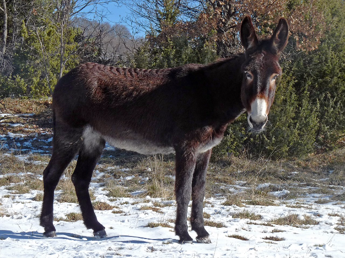 La derrapada més animal de la Núria Casas