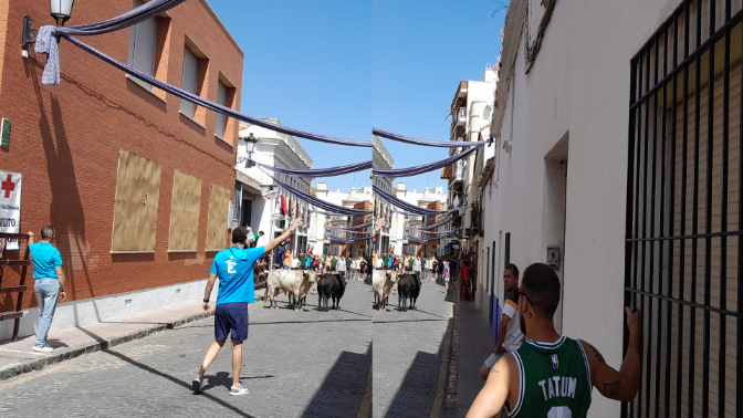Imagen de Vivimos en directo el segundo encierro de Almodóvar del Campo