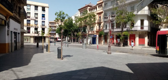 Imagen de Álvaro Pimentel: 