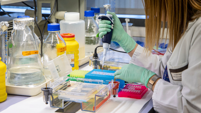 Imagen de Científicos del CIBIR colaboran en una investigación internacional sobre una estrategia terapéutica contra el cáncer