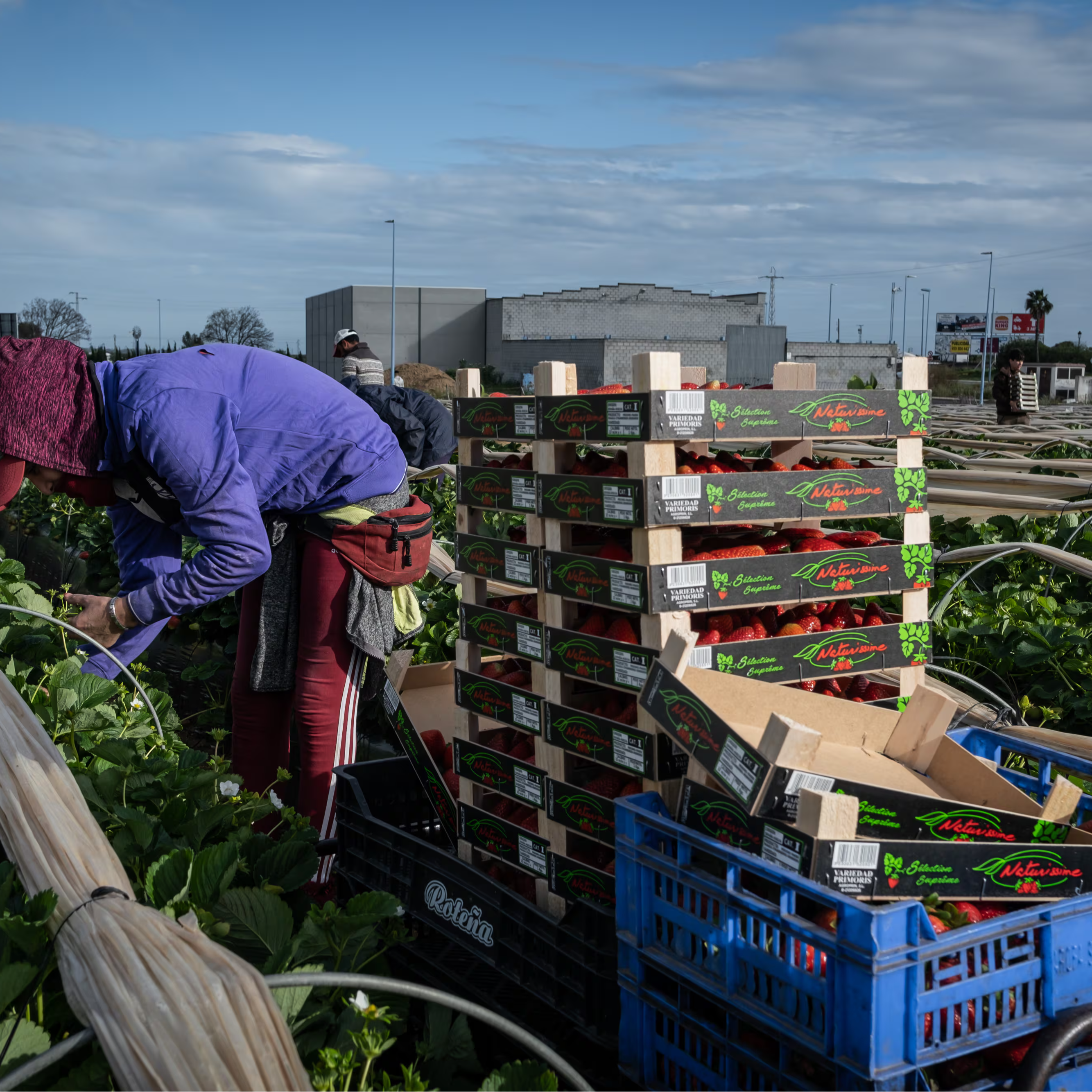 Imagen de La regularización de 500.000 migrantes podría replicar el impacto económico positivo de la de 2005