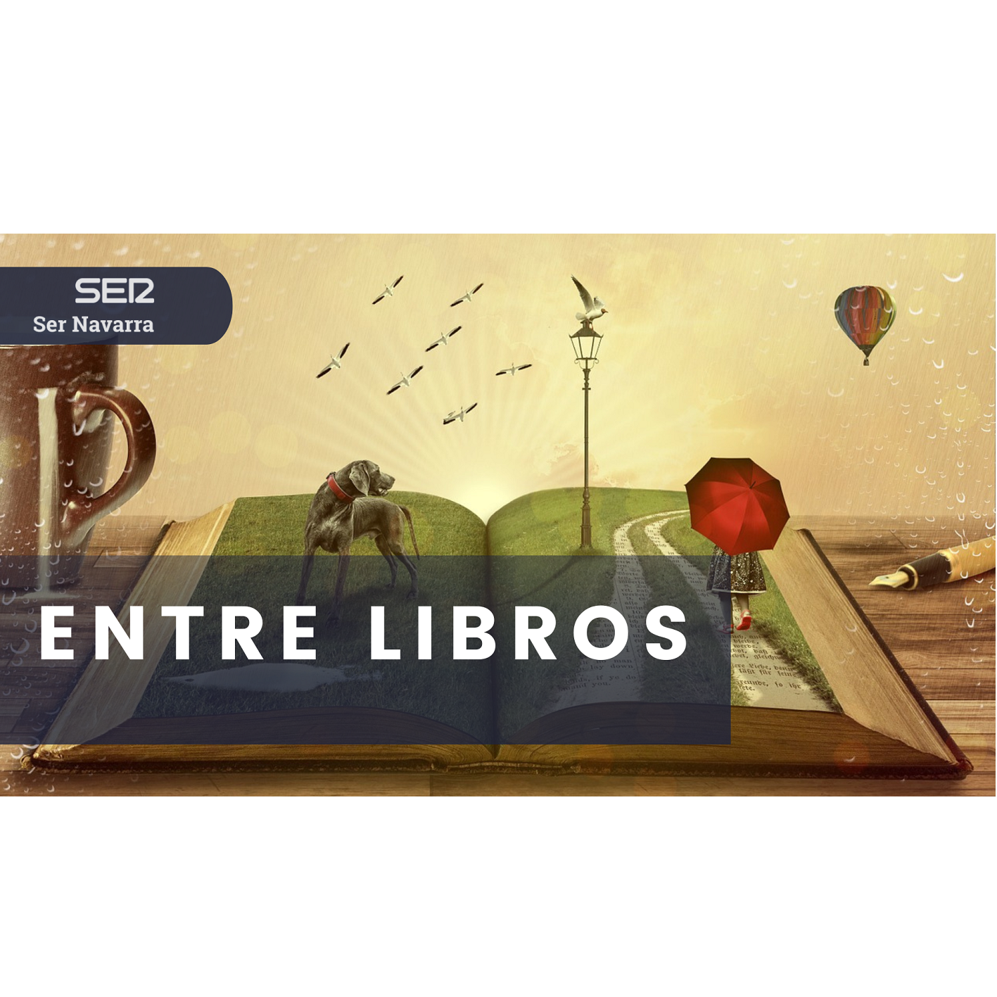 Entre libros: desde la Biblioteca de Allo episode artwork