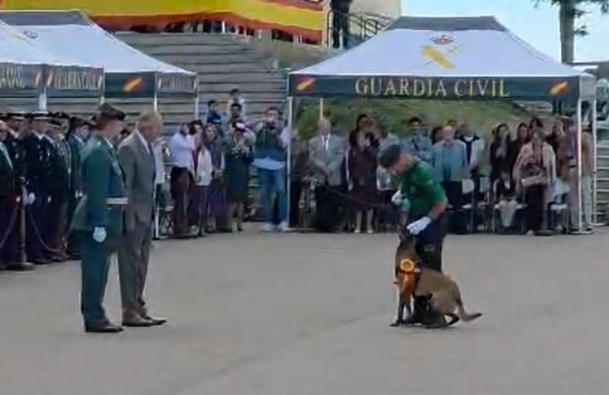 Kiko Navarro, del GREIM de Jaca, entrenador de Unka, la perra condecorada por la Guardia Civil