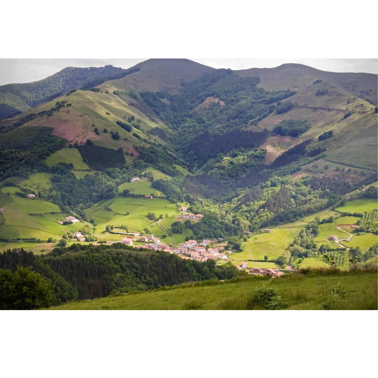 Portada de Cadena SER Navarra