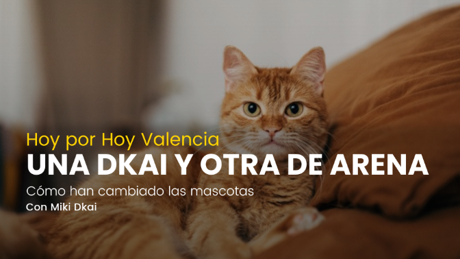 Portada de Radio Valencia