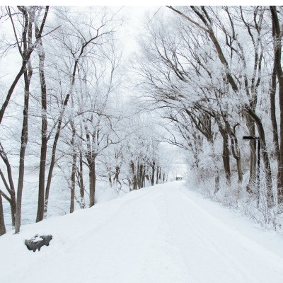 Mitos 2.0 desmontando la vida | ¿Este invierno es como los de antes?