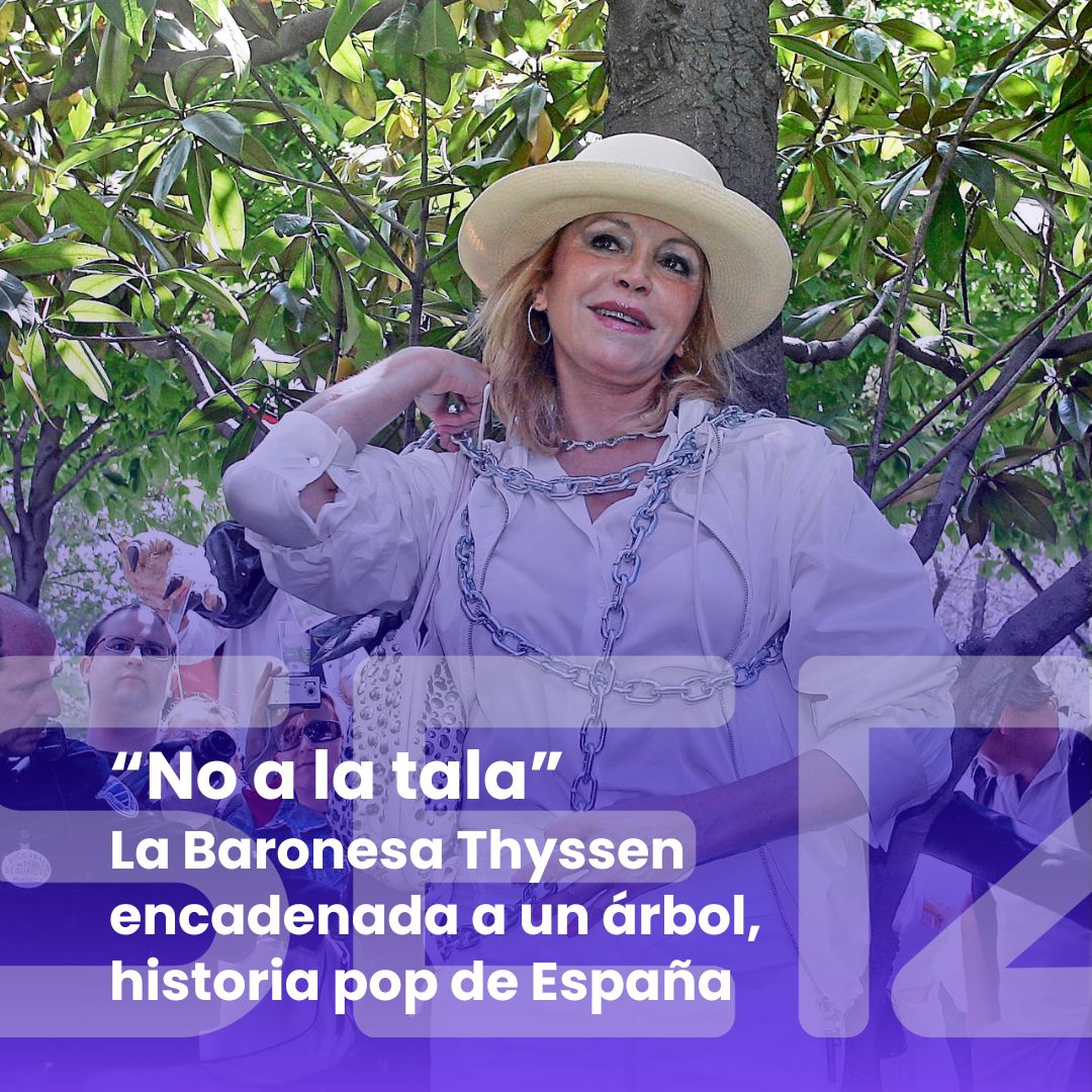 El rompeolas | Historia pop de España. La Baronesa Thyssen "encadenada" a un árbol al canto del "no a la tala"
