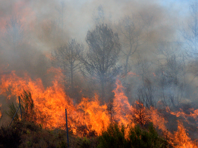Incendios forestales, cuidado con la retórica