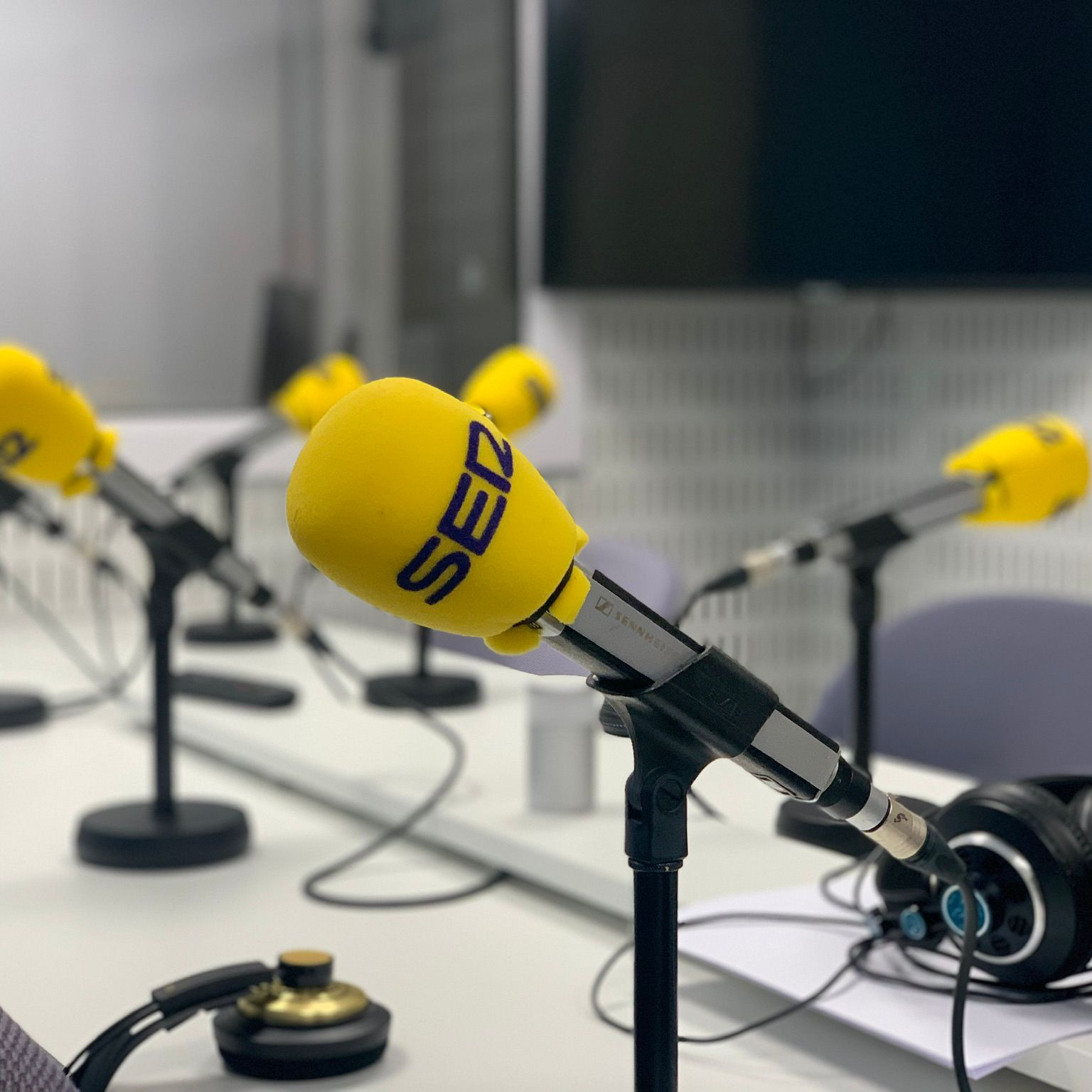 Entrevista Roi da Costa