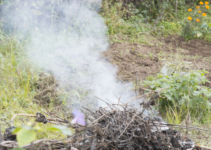 Quemas de restos vegetales: cómo cumplir la norma