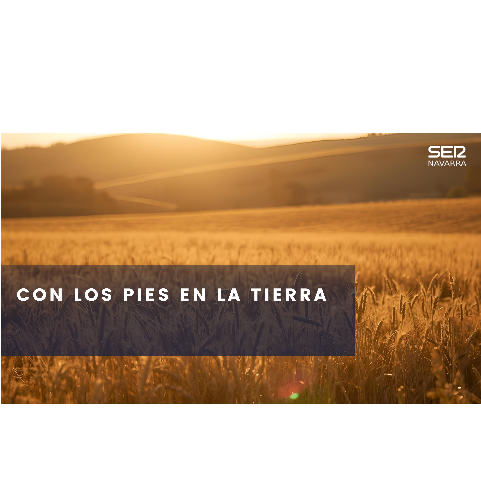 Con los pies en la tierra: La calidad como estrategia del campo navarro, en el I+D Agro de Corella episode artwork