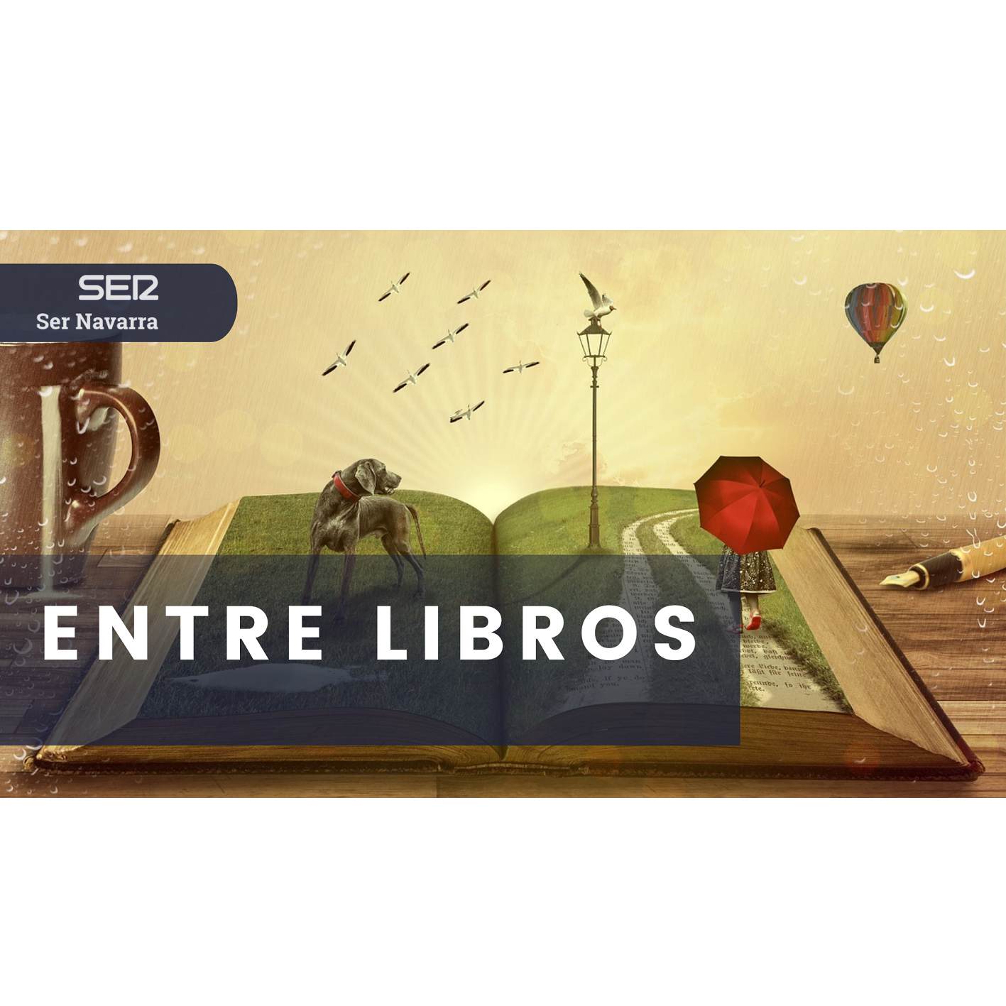 Entre libros: Feria del libro y Bibliobús de Estella episode artwork