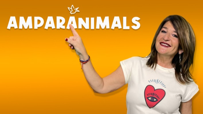 'Amparanimals', el programa que promueve la adopción y el acogimiento animal, cambia de horario